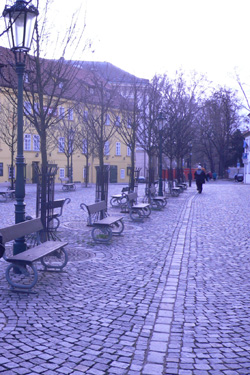 isla de kampa.jpg